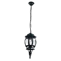 Уличный подвесной светильник Arte Lamp ATLANTA A1045SO-1BG