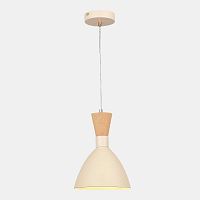 Подвесной светильник EVOLUCE SLE1256-503-01