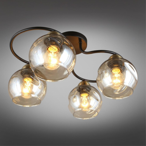 Люстра потолочная OML-95007-04 фото 3 Люстра потолочная OML-95007-04 фото 3