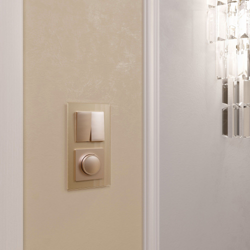 Диммер шампань W1142011 фото 4