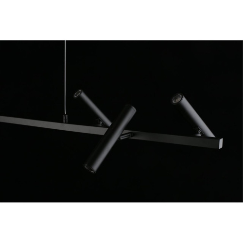 Люстра подвесная APL.067.03.30 фото 10 Люстра подвесная APL.067.03.30 фото 10