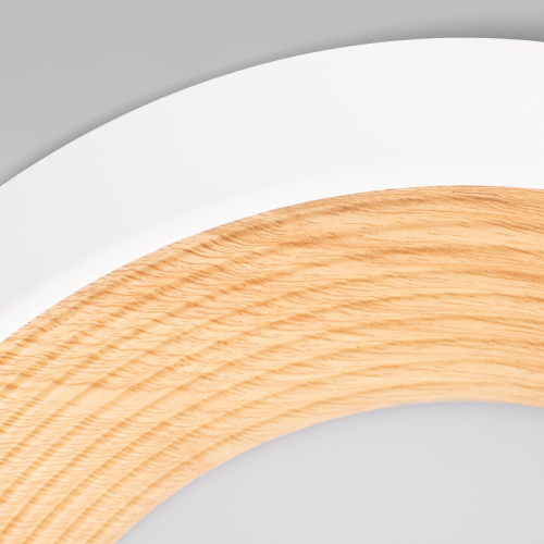 10255/350 White Потолочный светильник LOFT IT Folk фото 4 10255/350 White Потолочный светильник LOFT IT Folk фото 4