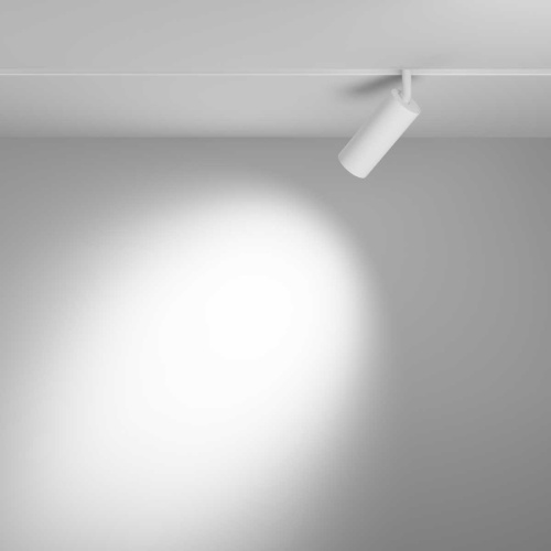 Трековый светильник Voltega Эксилайт / Exilight VGL032-2-12W3K-S-W фото 4