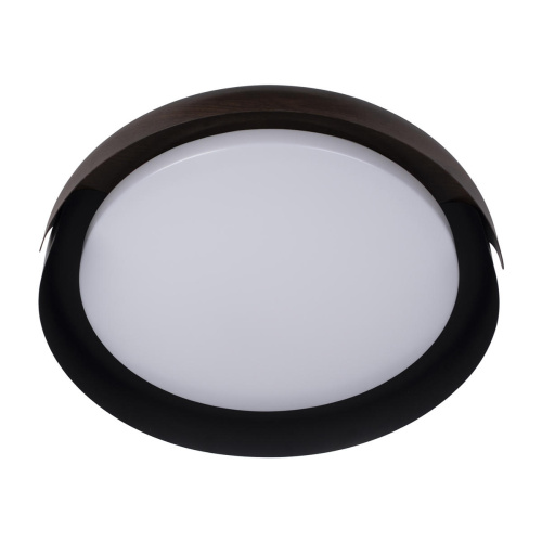 10198 Black Потолочный светильник LOFT IT Coin фото 5