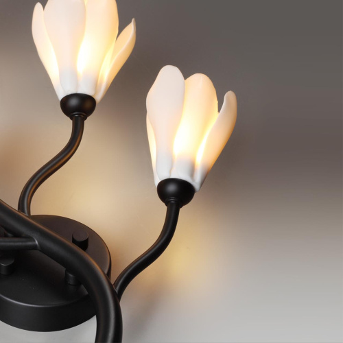 5090/5W MODERN ODL25 553 черный матовый/белый/фарфор Бра G4 LED 5*5W GARDI фото 5