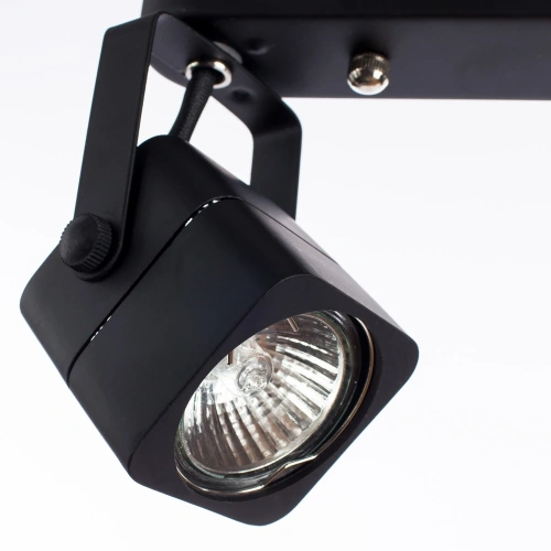 Спот Arte Lamp LENTE A1314PL-2BK фото 4