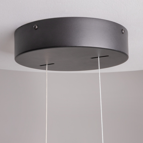 Подвесной светильник Maytoni MOD163PL-L38B4K фото 3 Подвесной светильник Maytoni MOD163PL-L38B4K фото 3