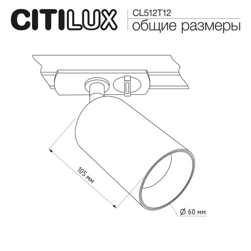 Citilux AXEL CL512T12 Трековый светильник Латунь фото 12