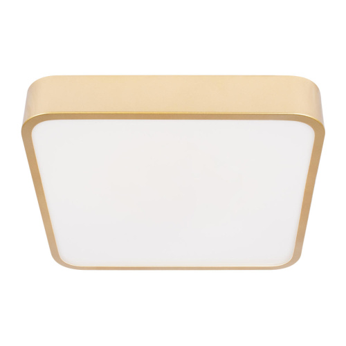 10228/C Потолочный светильник LOFT IT Flims фото 5