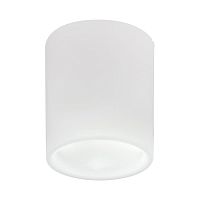 Накладной светильник Lightstar Solido E27 216626