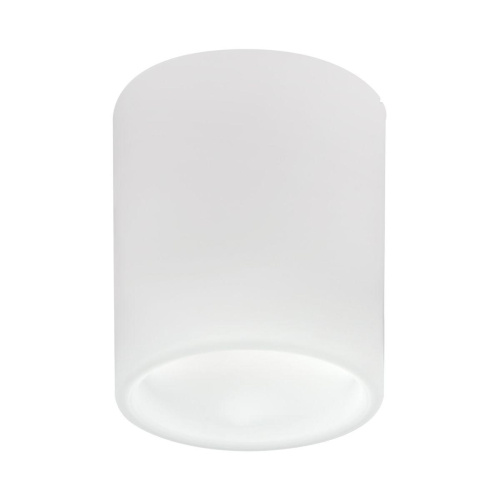 Накладной светильник Lightstar Solido E27 216626 Накладной светильник Lightstar Solido E27 216626