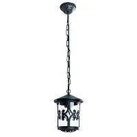 Уличный подвесной светильник Arte Lamp PERSIA A1455SO-1BG
