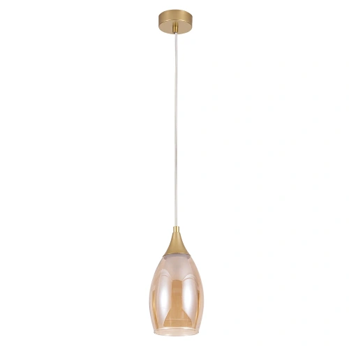 Подвесной светильник Arte Lamp BARRY A7951SP-1GO Подвесной светильник Arte Lamp BARRY A7951SP-1GO