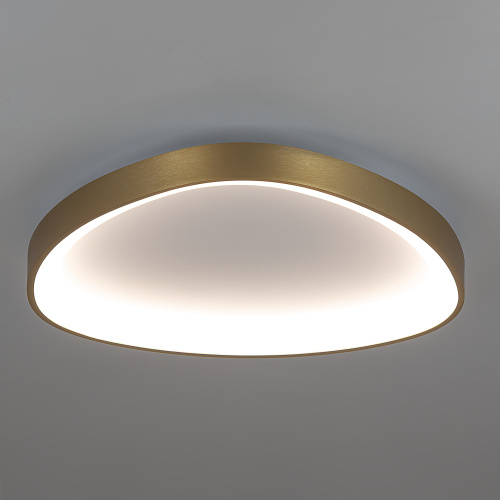 Citilux GENKA SMART CL756A142 LED Умная люстра фото 6