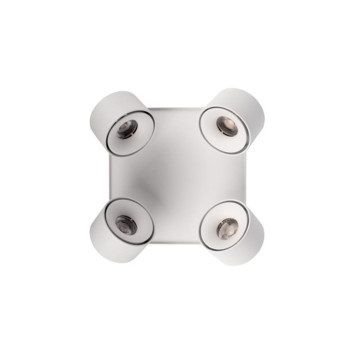 10326 White Накладной светильник LOFT IT Case фото 5