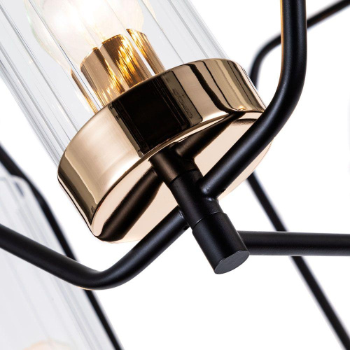 Подвесная люстра Arte Lamp Celaeno A7004PL-5BK фото 4 Подвесная люстра Arte Lamp Celaeno A7004PL-5BK фото 4