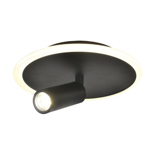 Настенно-потолочный свет Escada 20046SMA/01 LED 20W 4000K черный