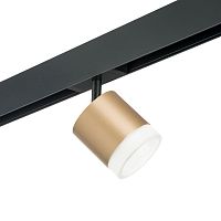 Комплект с трековым светильником Lightstar Rullo (213490+595087+202480) PRO349080