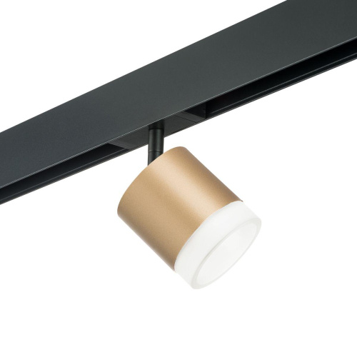 Комплект с трековым светильником Lightstar Rullo (213490+595087+202480) PRO349080