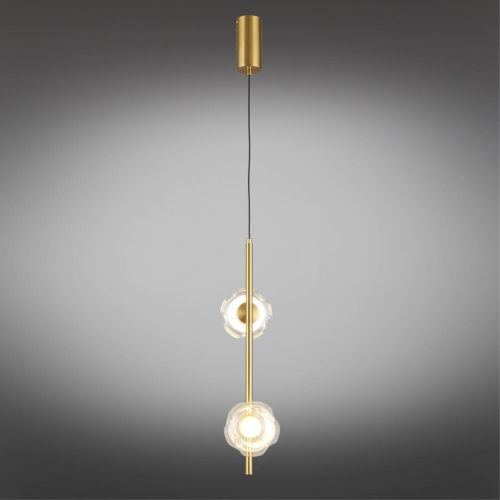 Светильник подвесной APL.074.06.02 фото 3