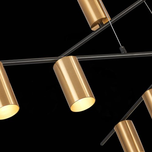 SL1206.402.12 Светильник потолочный ST-Luce Черный/Латунь GU10 12*7W SORMANO фото 11 SL1206.402.12 Светильник потолочный ST-Luce Черный/Латунь GU10 12*7W SORMANO фото 11