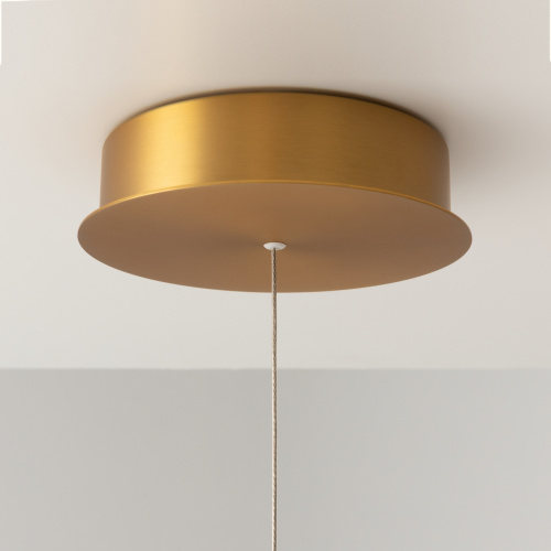 Подвесной светильник Maytoni MOD166PL-L30G3K фото 16