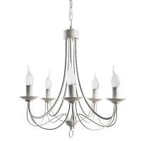 Подвесная люстра Arte Lamp MAYPOLE A6300LM-5WG