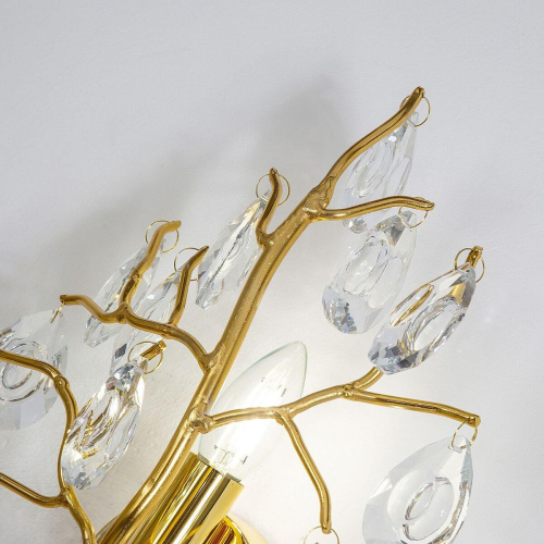 Бра Favourite Pluvia 4162-1W фото 6