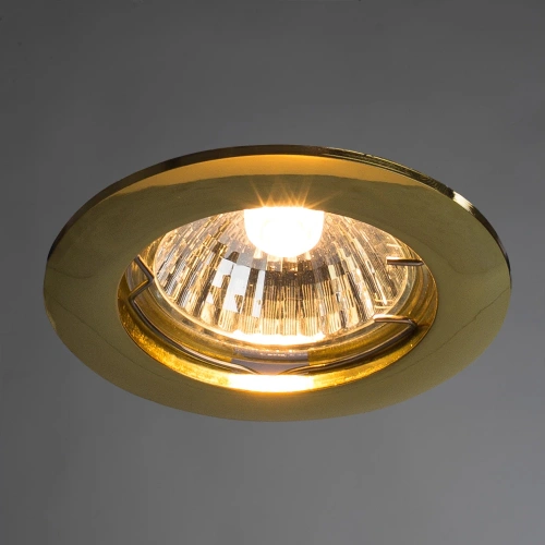 Точечный встраиваемый светильник Arte Lamp BASIC A2103PL-1GO фото 2 Точечный встраиваемый светильник Arte Lamp BASIC A2103PL-1GO фото 2