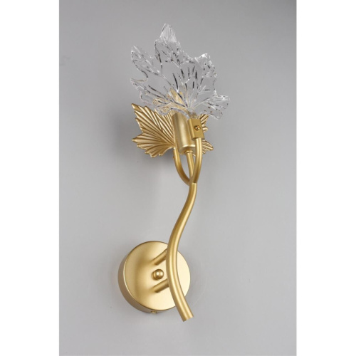 Светильник настенный (Бра) OML-52701-01 фото 6 Светильник настенный (Бра) OML-52701-01 фото 6