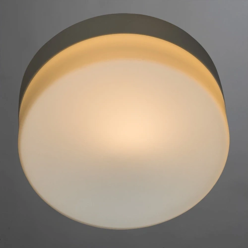 Потолочный светильник Arte Lamp AQUA A3211PL-1WH фото 2