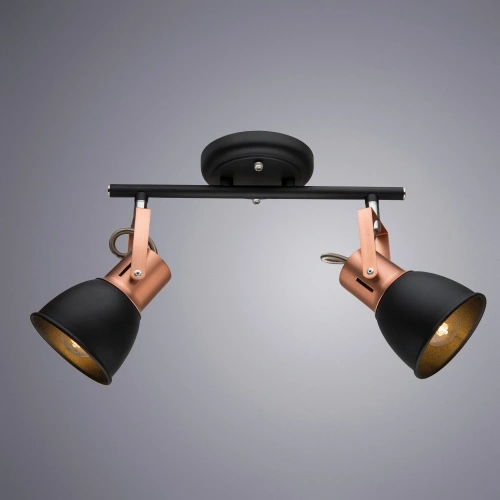 Спот Arte Lamp JOVI A1677PL-2BK фото 2