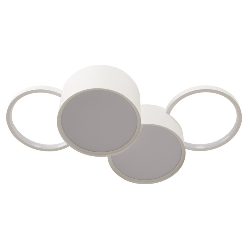 10317/4 White Потолочный светильник LOFT IT Pin фото 3