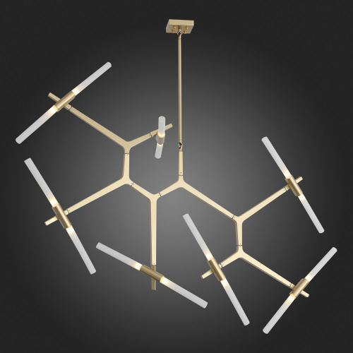 SL947.202.14 Люстра потолочная ST-Luce Золотистый/Белый G9 14*5W LACONICITA фото 3 SL947.202.14 Люстра потолочная ST-Luce Золотистый/Белый G9 14*5W LACONICITA фото 3