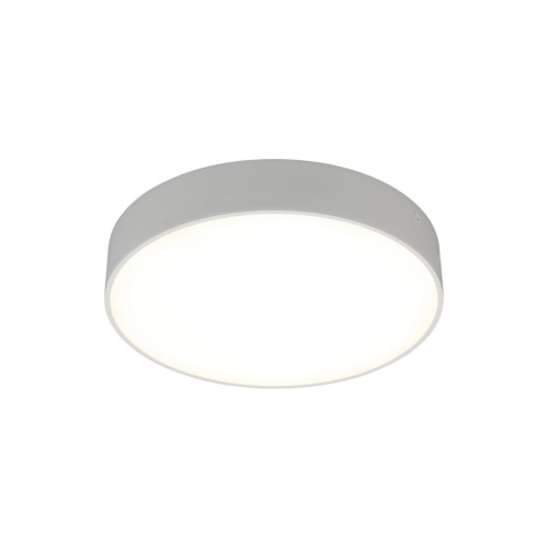 Светильник настенно-потолочный APL.0114.09.24 Светильник настенно-потолочный APL.0114.09.24