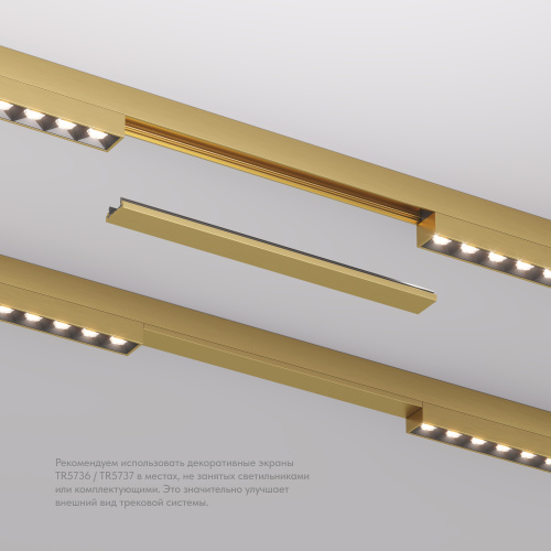 TR5736-SB Декоративная заглушка желоба трека SHINE BASE, 20см, сатинированная латунь, алюминий фото 4