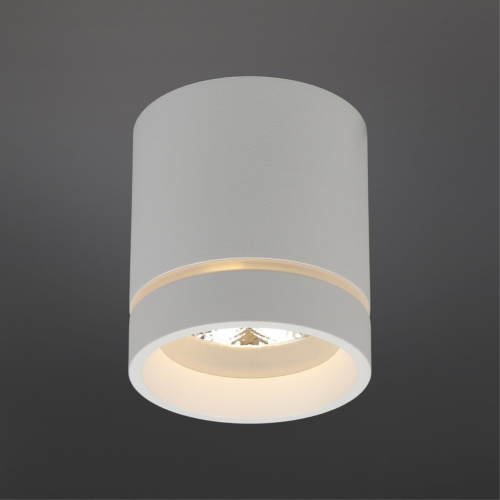 Светильник встраиваемый-накладной APL.0043.09.05 фото 3