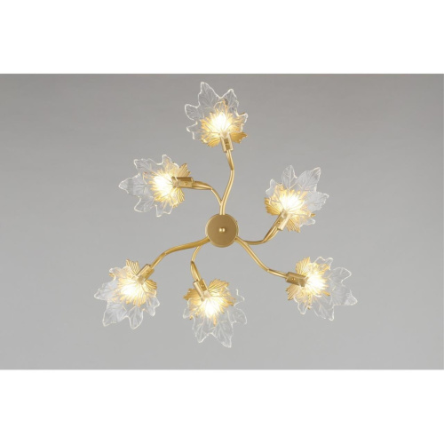 Люстра потолочная OML-52707-06 фото 6 Люстра потолочная OML-52707-06 фото 6