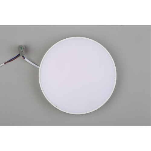 Светильник настенно-потолочный APL.0113.09.24 фото 8 Светильник настенно-потолочный APL.0113.09.24 фото 8