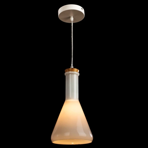 Подвесной светильник Arte Lamp ACCENTO A8114SP-1WH фото 2 Подвесной светильник Arte Lamp ACCENTO A8114SP-1WH фото 2
