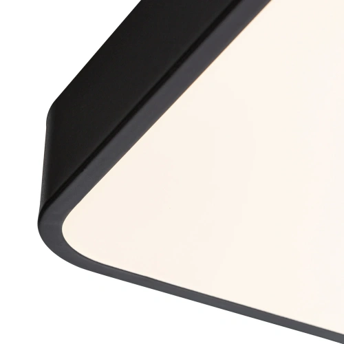 Потолочный светильник Arte Lamp SCENA A2669PL-1BK фото 4