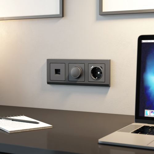 Диммер (графит матовый) W1142064 фото 2 Диммер (графит матовый) W1142064 фото 2