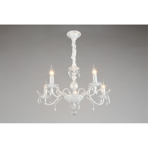 Люстра подвесная OML-53213-05 фото 10 Люстра подвесная OML-53213-05 фото 10