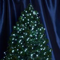 Светодиодная гирлянда Кластер Feron CL09 линейная 10м + 2м 230V 5000К, c питанием от сети, зеленый шнур