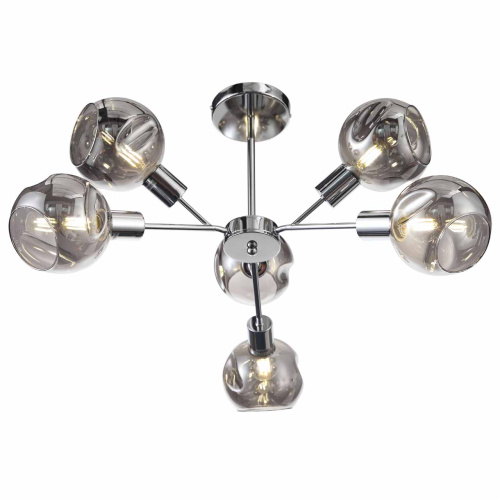 Потолочная люстра Evoluce Gentore SLE155102-06 фото 3