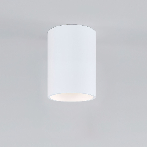 Накладной потолочный светильник 25011/01 фото 3