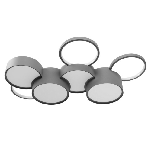 10317/7 Grey Потолочный светильник LOFT IT Pin фото 4