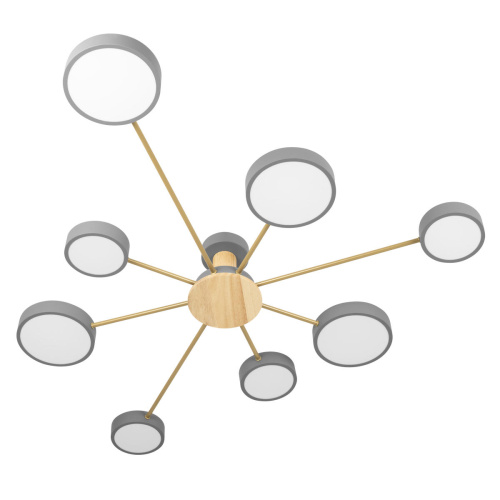 10316/8 Grey Потолочный светильник LOFT IT Sunrise фото 2