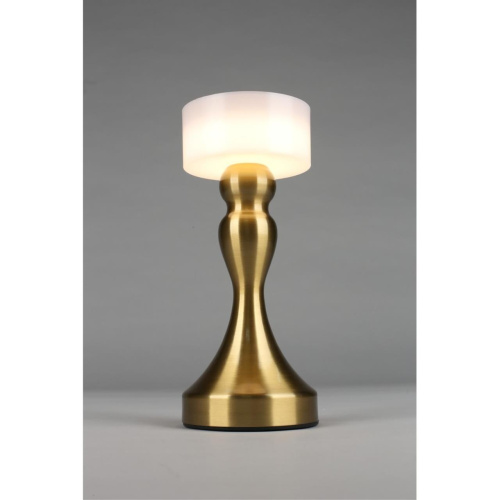 Настольная лампа OML-40304-01 фото 8