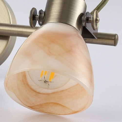 Спот Arte Lamp TULIP A9581AP-2AB фото 3